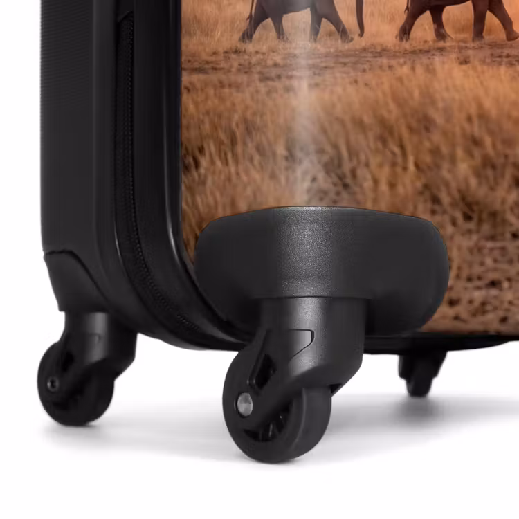 Suitcase - Elephants - Savannah - Sunset - Africa - Warm — 7