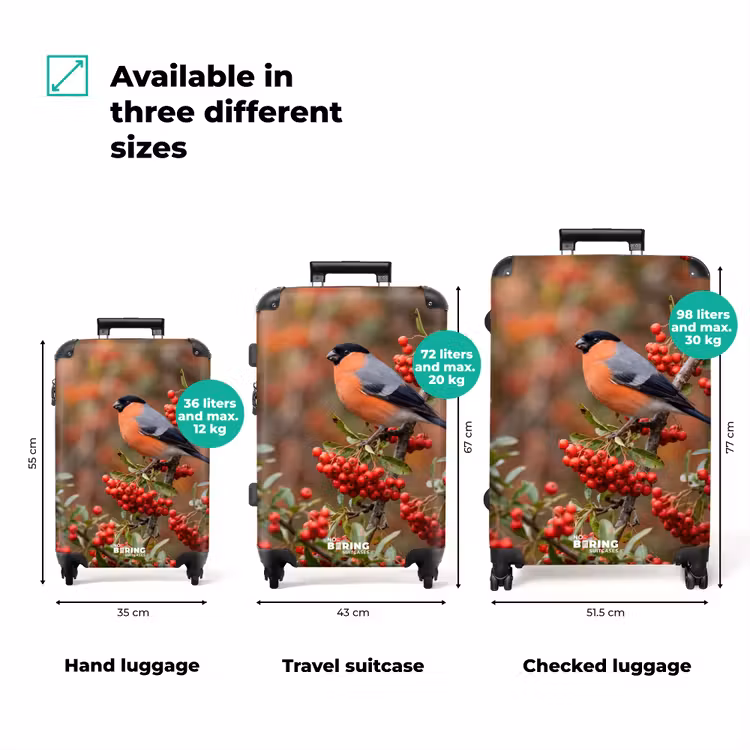 Suitcase - Goldfinch - Berries - Fall - Nature - Colorful — 3
