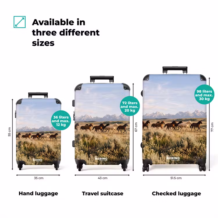 Suitcase - Horses - Herd - Mountains - Freedom - Wild — 3