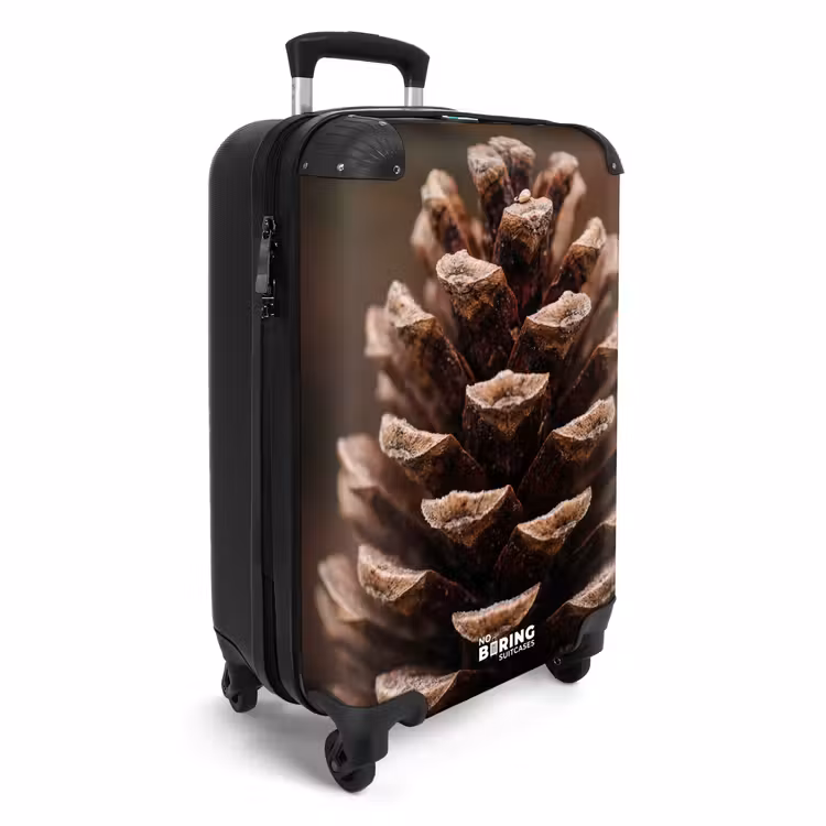 Suitcase - Pine Cone - Forest - Fall - Brown - Atmospheric — 2