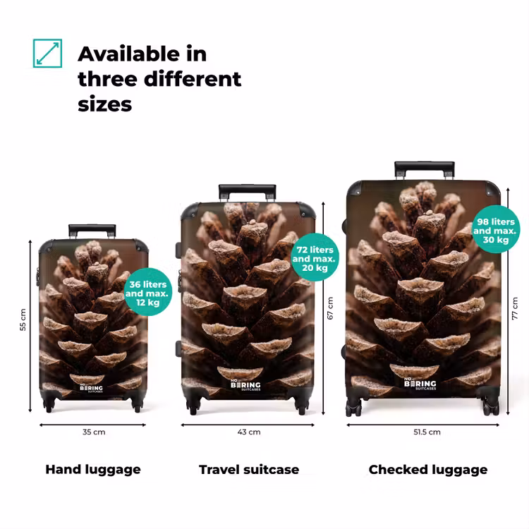 Suitcase - Pine Cone - Forest - Fall - Brown - Atmospheric — 3