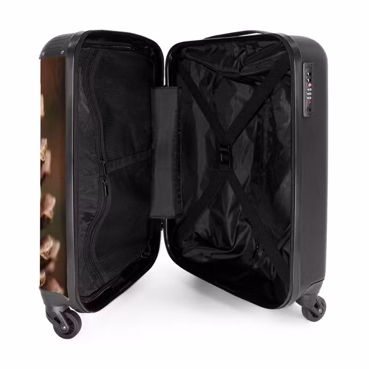 Suitcase - Pine Cone - Forest - Fall - Brown - Atmospheric — 5