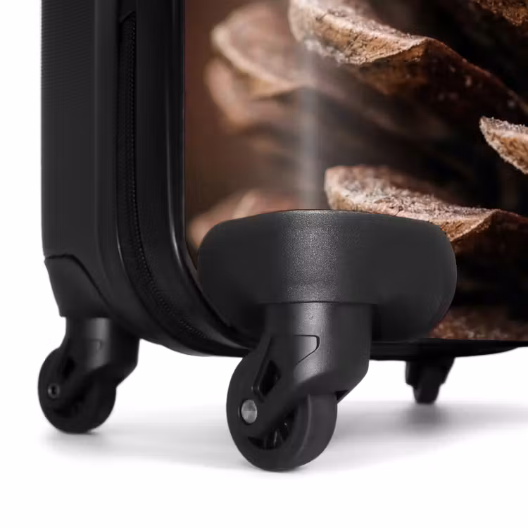 Suitcase - Pine Cone - Forest - Fall - Brown - Atmospheric — 7