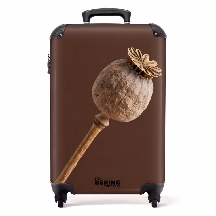 Suitcase - Poppy Bulb - Dried Flower - Brown - Minimalist — 1