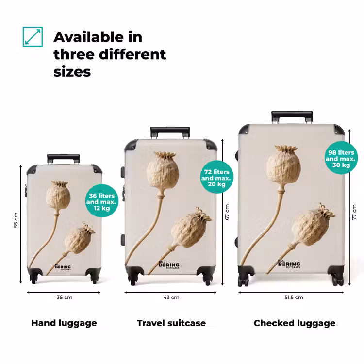 Suitcase - Poppy Bulbs - Dried Flowers - Minimalist - Beige - Serene — 3