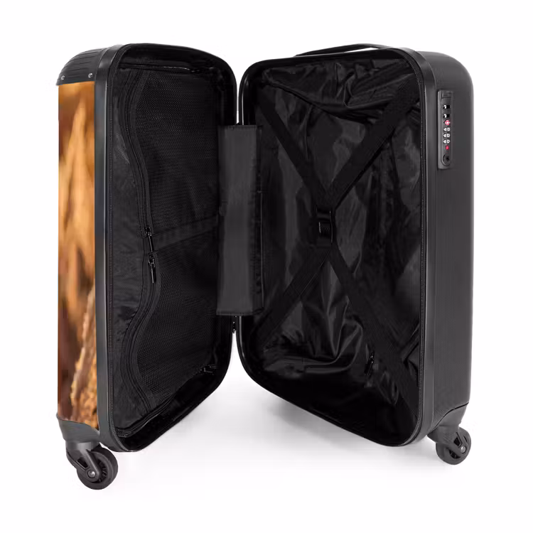 Suitcase - Reed Plumes - Grass - Sunset - Gold - Serene — 5