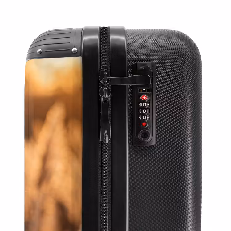 Suitcase - Reed Plumes - Grass - Sunset - Gold - Serene — 6