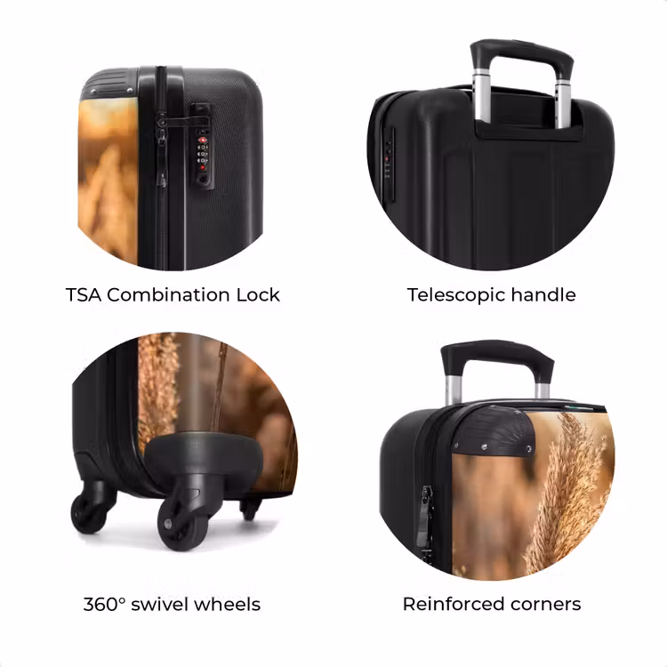 Suitcase - Reed Plumes - Grass - Sunset - Gold - Serene — 8