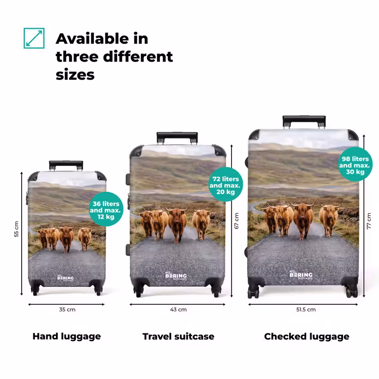 Suitcase - Scottish Highland Cattle - Road - Landscape - Herd — 3