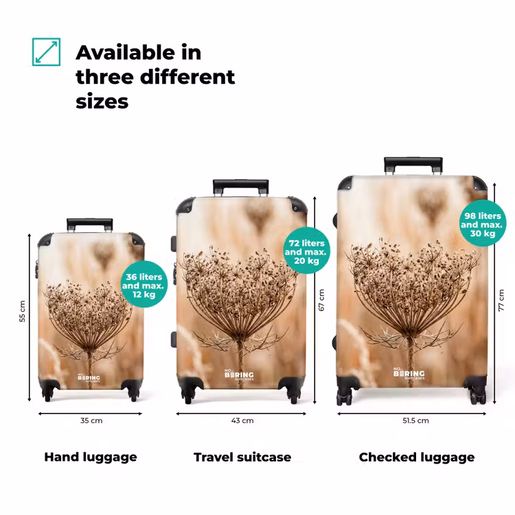 Suitcase - Screen Flower - Dried Flower - Winter - Beige - Minimalist — 3