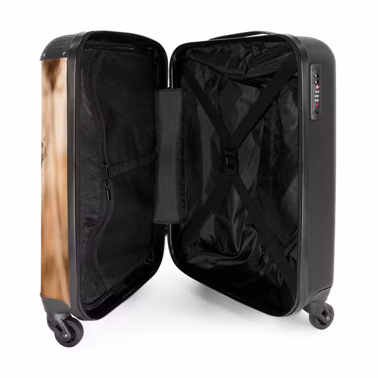 Suitcase - Screen Flower - Dried Flower - Winter - Beige - Minimalist — 5