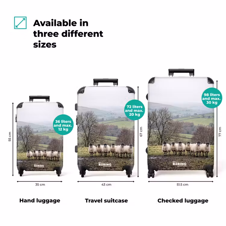 Suitcase - Sheep - Row - Pasture - Animals - Countryside — 3