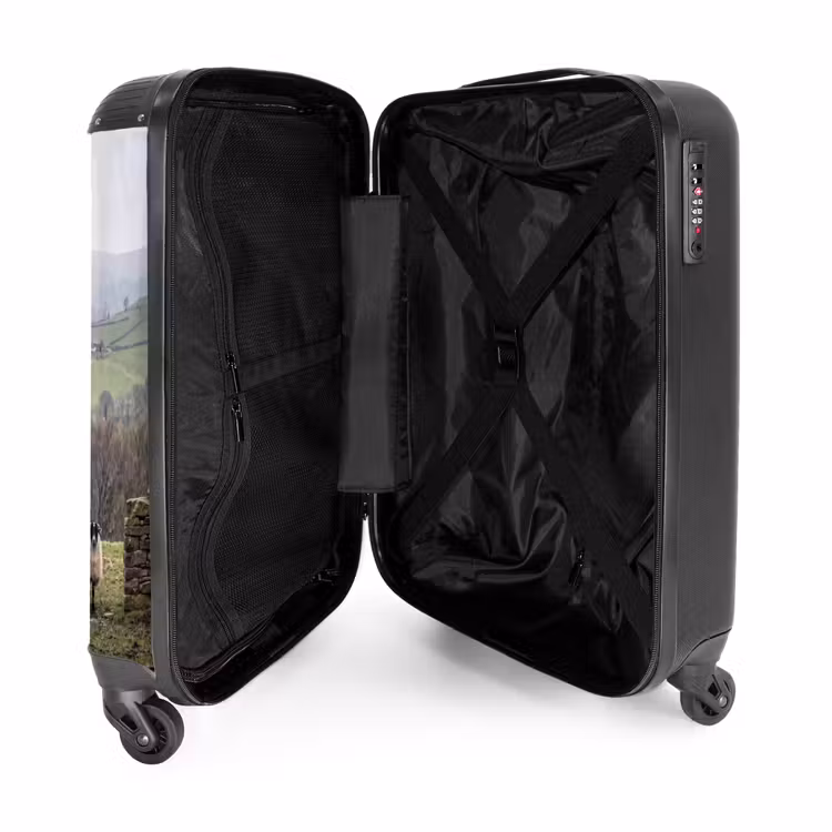 Suitcase - Sheep - Row - Pasture - Animals - Countryside — 5