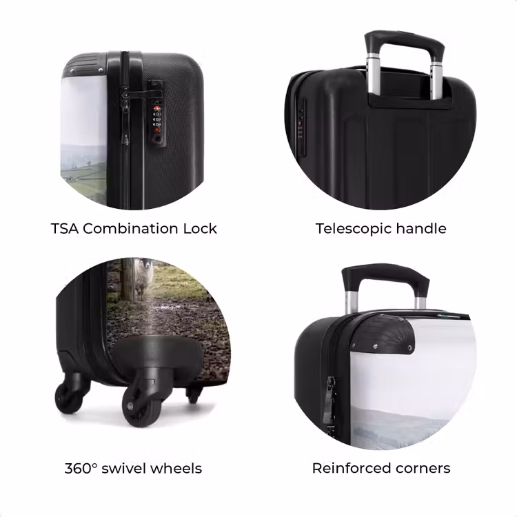 Suitcase - Sheep - Row - Pasture - Animals - Countryside — 8