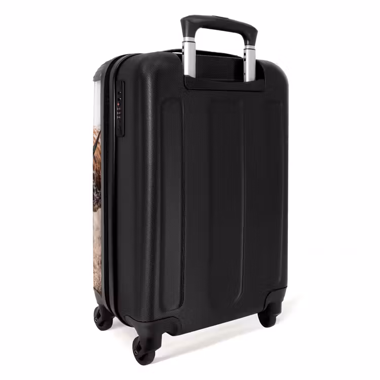 Suitcase - Texas Longhorn - Calf - Pasture - Animals — 4