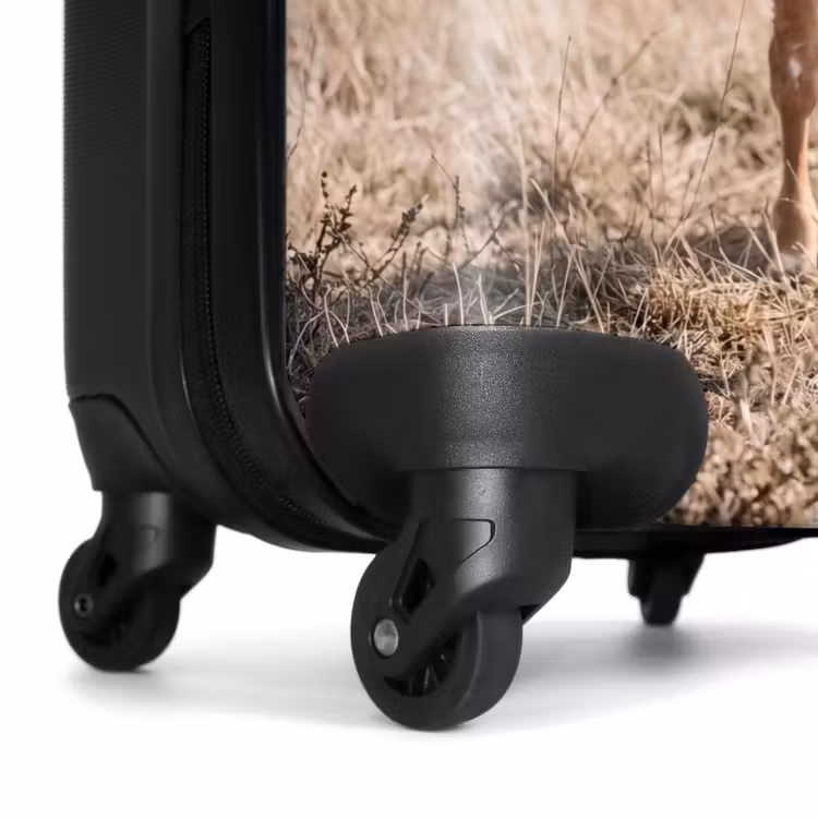 Suitcase - Texas Longhorn - Calf - Pasture - Animals — 7