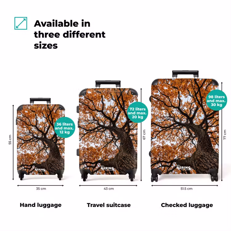 Suitcase - Tree - Canopy - Fall - Orange - Atmospheric — 3