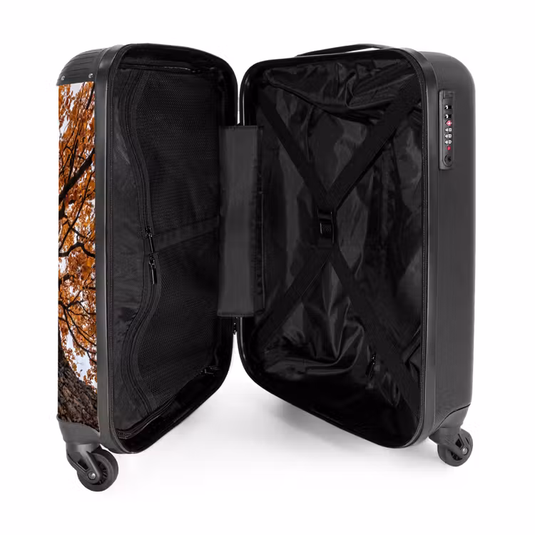 Suitcase - Tree - Canopy - Fall - Orange - Atmospheric — 5