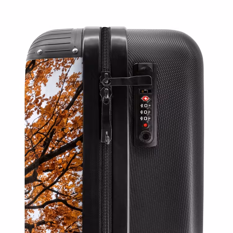 Suitcase - Tree - Canopy - Fall - Orange - Atmospheric — 6