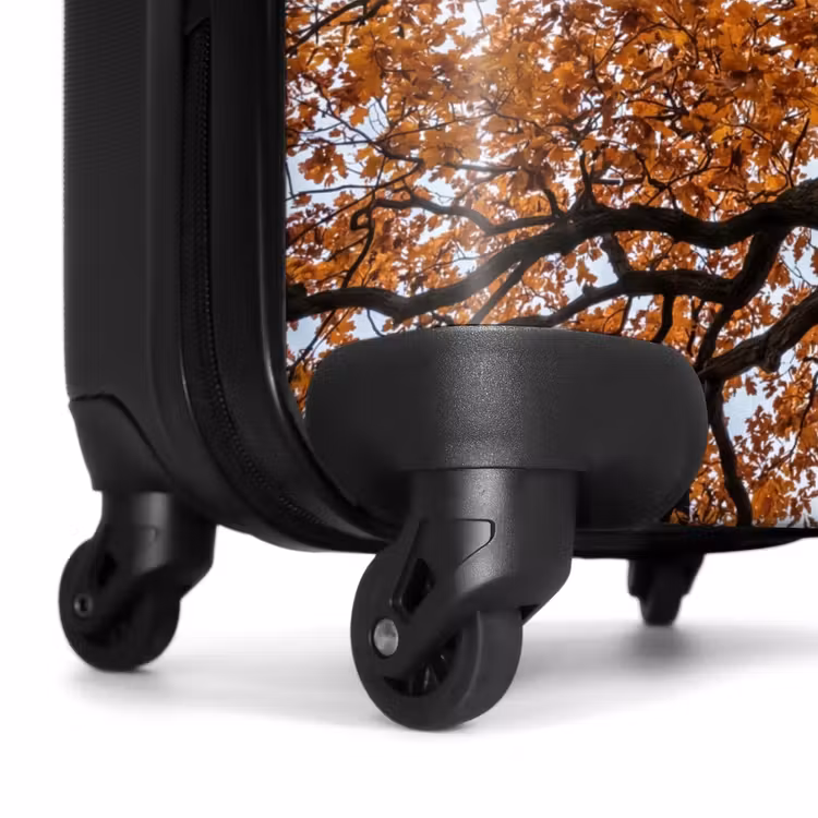 Suitcase - Tree - Canopy - Fall - Orange - Atmospheric — 7
