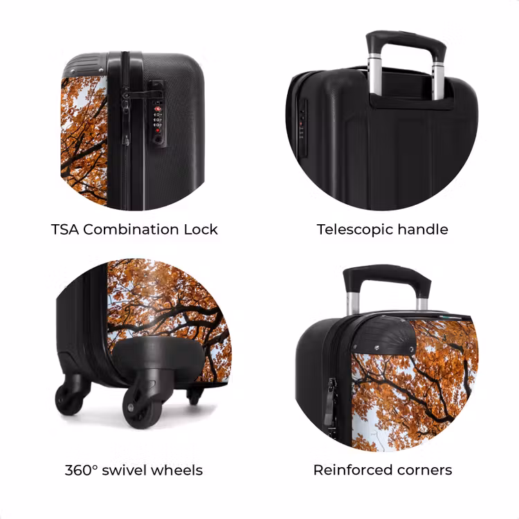 Suitcase - Tree - Canopy - Fall - Orange - Atmospheric — 8