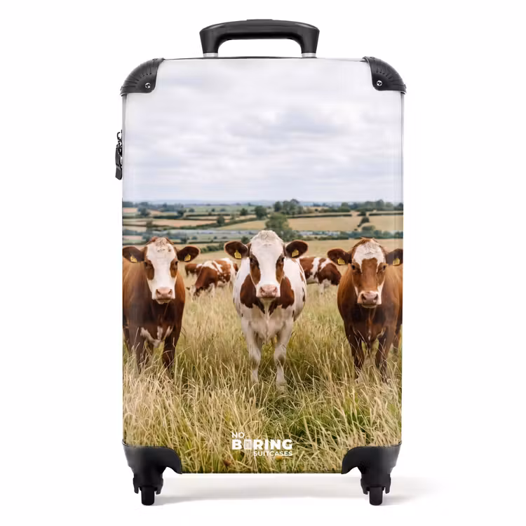 Suitcase - upload-6a4f5c526792f-92-gigapixel-standard-v2-15x — 1
