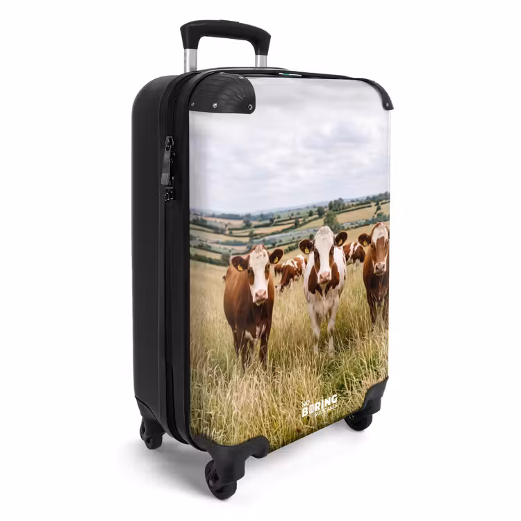 Suitcase - upload-6a4f5c526792f-92-gigapixel-standard-v2-15x — 2