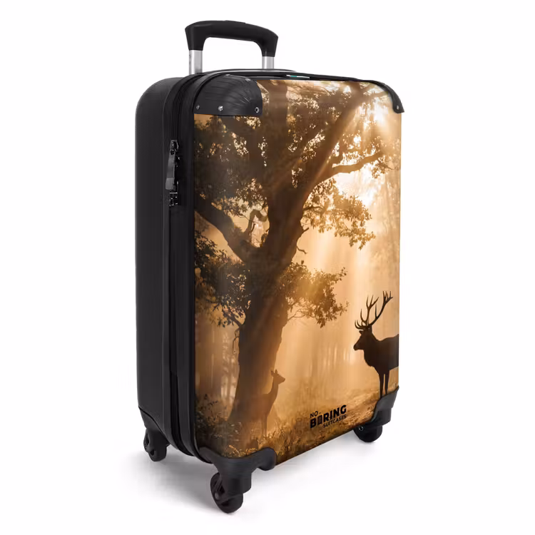 Suitcase - upload-6a4f5c682ef91-97-gigapixel-standard-v2-15x — 2