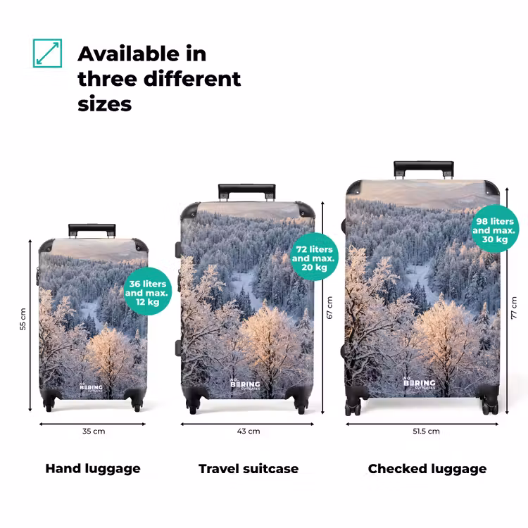 Suitcase - Forest - Mountains - Gold - Winter - Warm — 3