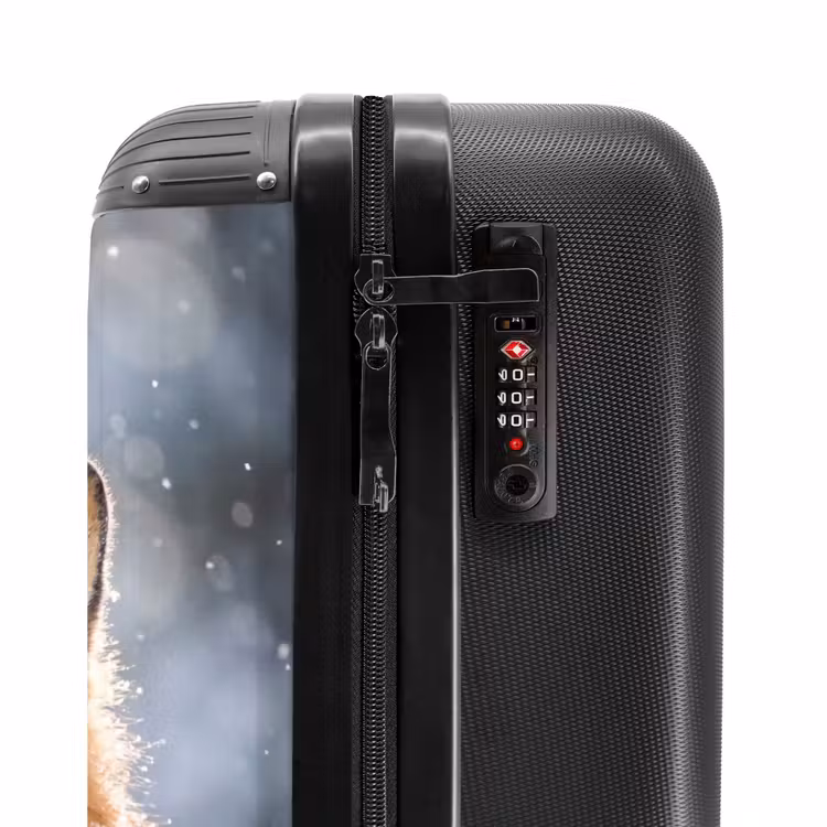 Suitcase - Fox - Snowfall - Portrait - Winter - Atmospheric — 6
