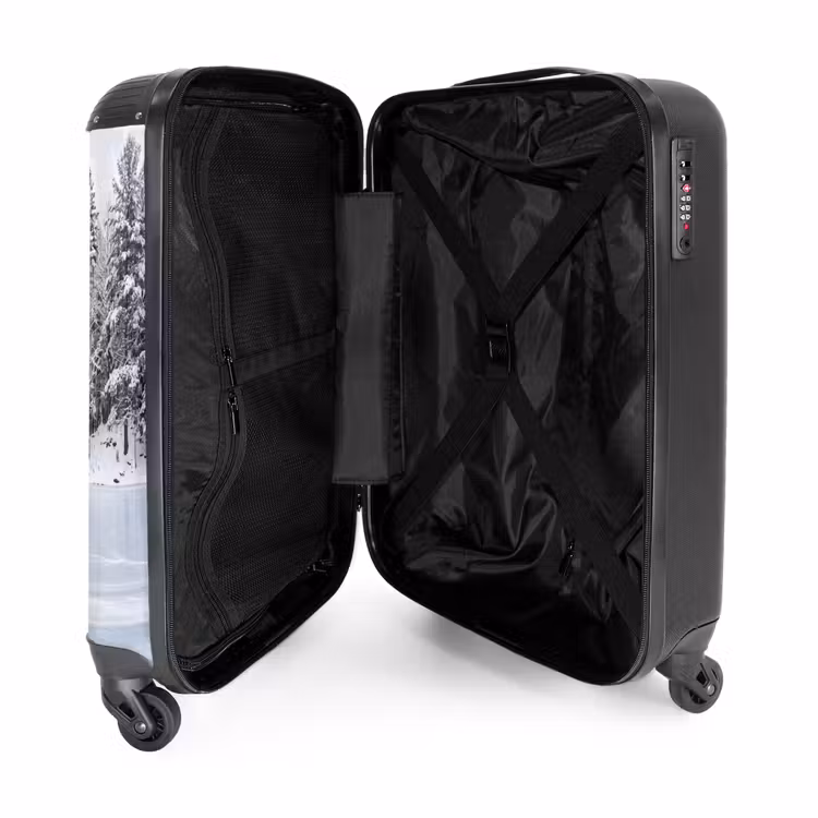 Suitcase - More - Pine - Ice - Winter - Soothing — 5
