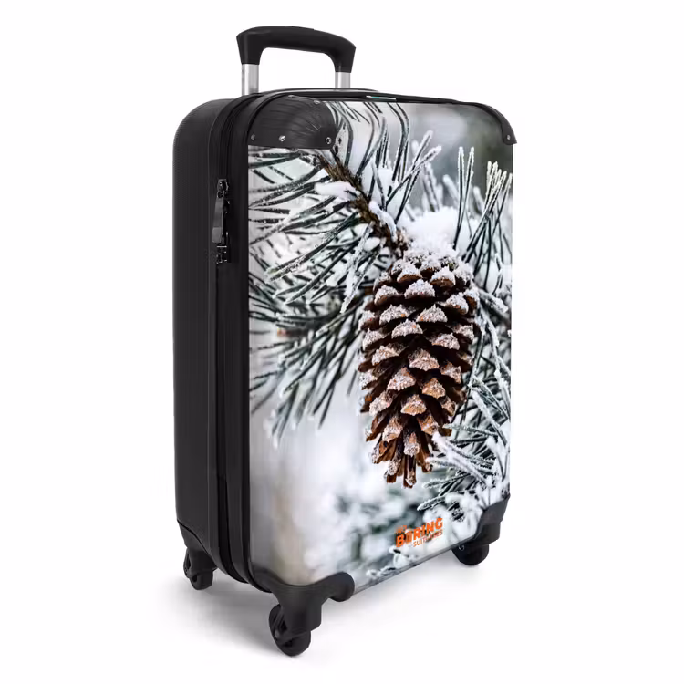 Suitcase - Pine Cone - Branch - Snow - Winter - Atmospheric — 2