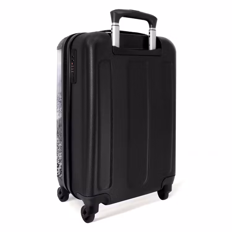 Suitcase - Road - Mountains - Snow - Coniferous Forest - Adventurous — 4