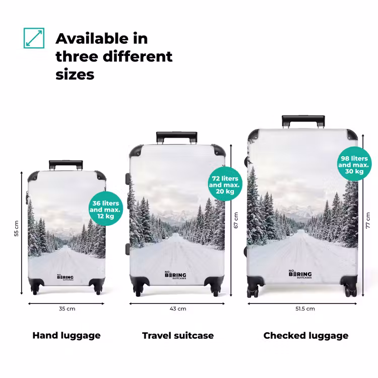 Suitcase - Road - Snow - Coniferous Forest - Winter - Adventurous — 3