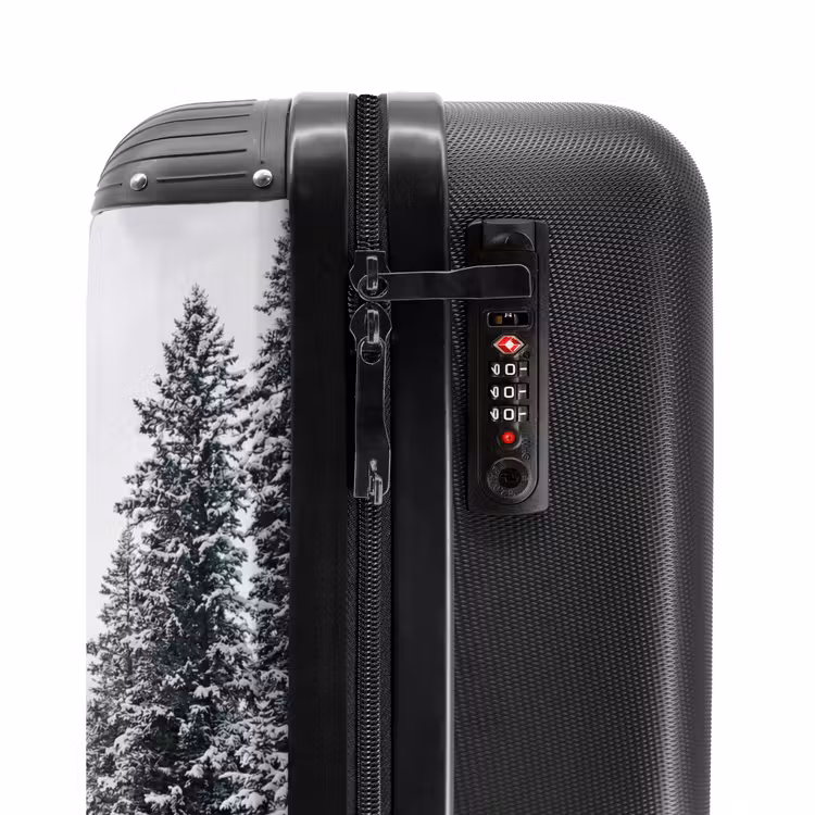 Suitcase - Road - Snow - Coniferous Forest - Winter - Adventurous — 6