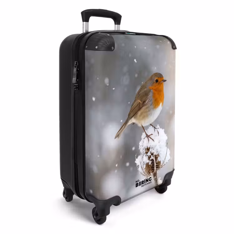 Suitcase - Robin - Dried Flower - Snow - Winter - Charming — 2