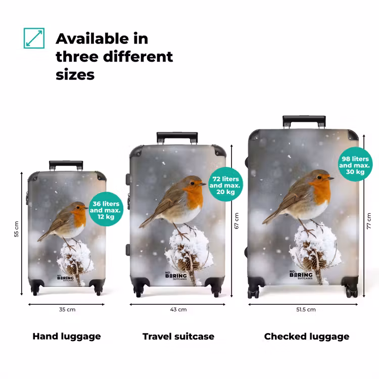 Suitcase - Robin - Dried Flower - Snow - Winter - Charming — 3