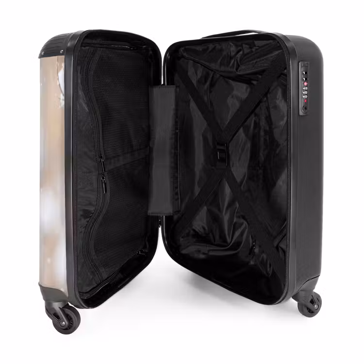 Suitcase - Robin - Dried Flower - Snow - Winter - Charming — 5