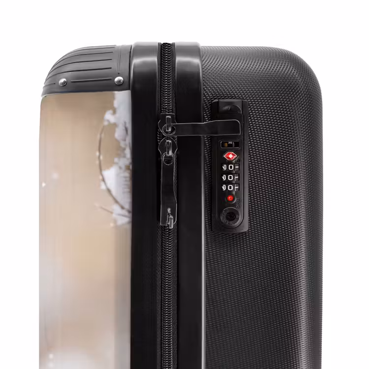Suitcase - Robin - Dried Flower - Snow - Winter - Charming — 6