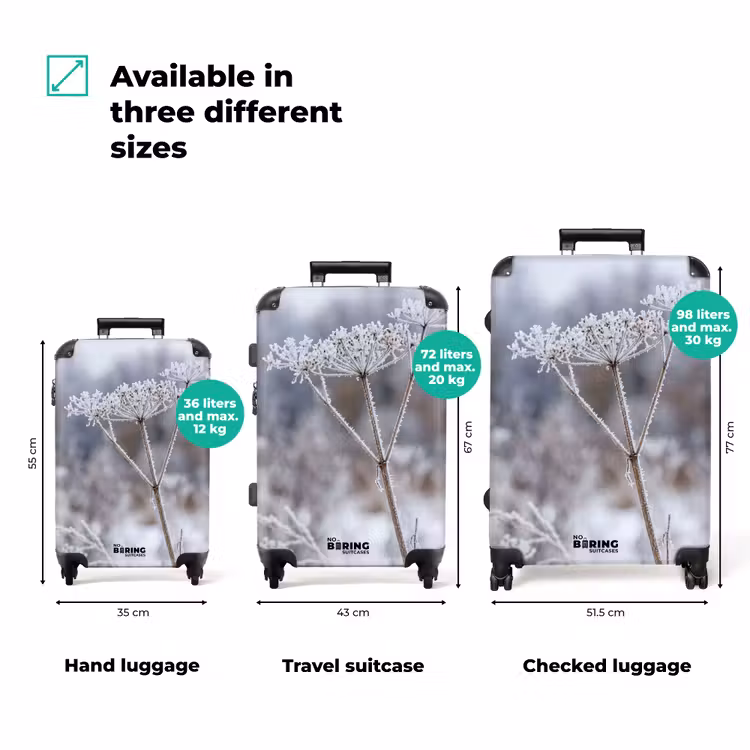 Suitcase - Screen Flower - Ripe - Crystals - Winter - Delicate — 3
