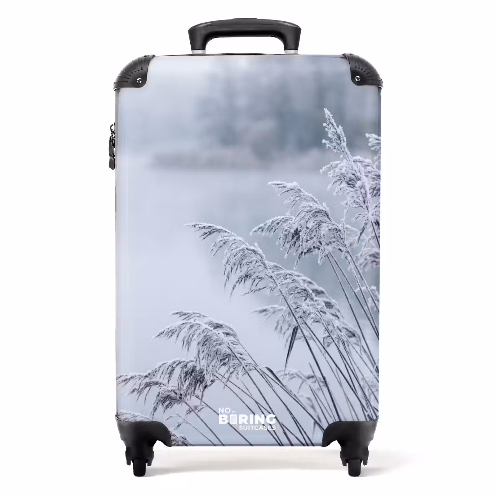 Suitcase - Reeds - Frozen - Winter - Nature — 1