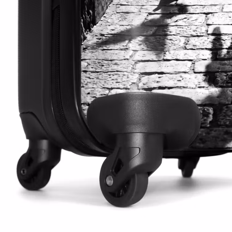 Suitcase - Child - Bird - Street - Black-and-white - Playing — 7