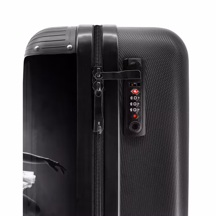 Suitcase - Dancer - Stage - Black and White - Art - Classical — 6