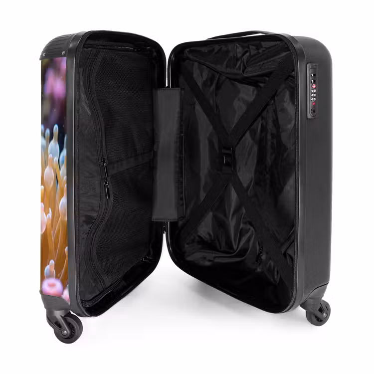 Suitcase - Fish - Coral - Underwater - Orange - Animals — 5
