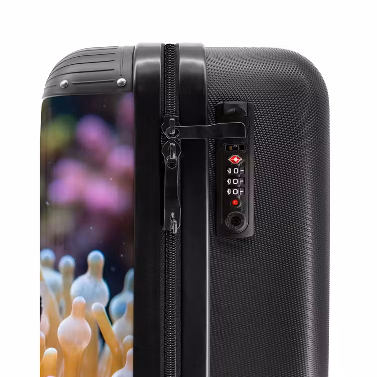 Suitcase - Fish - Coral - Underwater - Orange - Animals — 6
