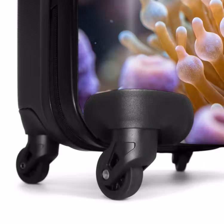 Suitcase - Fish - Coral - Underwater - Orange - Animals — 7
