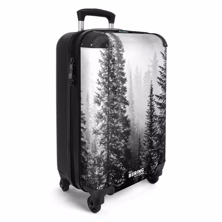 Suitcase - Forest - Fog - Winter - Monochrome - Nature — 2