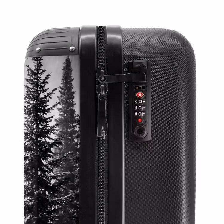 Suitcase - Forest - Fog - Winter - Monochrome - Nature — 6