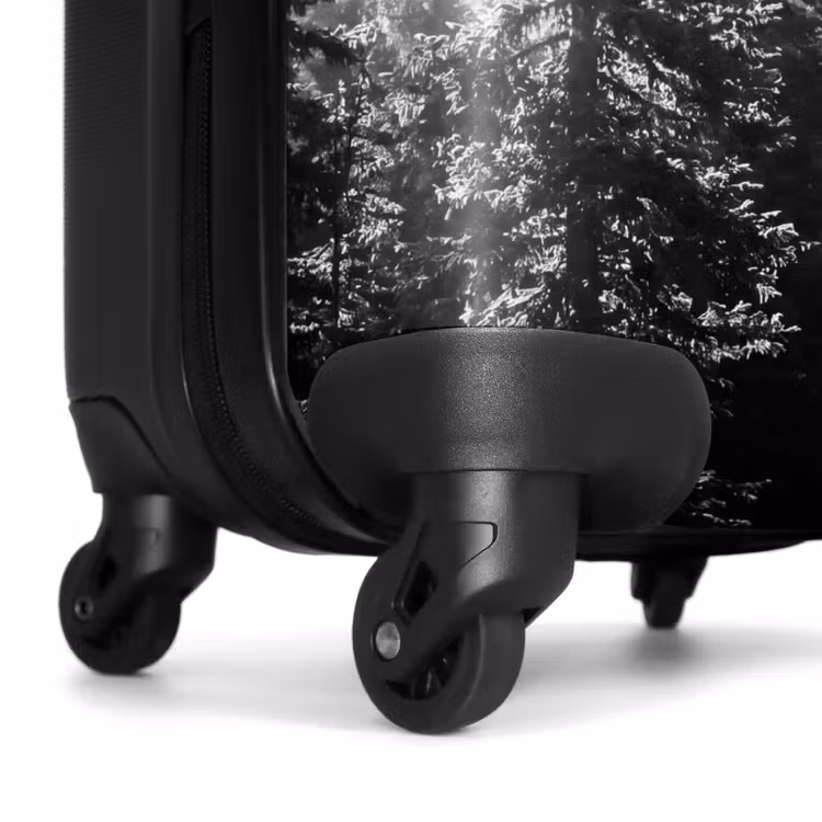 Suitcase - Forest - Fog - Winter - Monochrome - Nature — 7