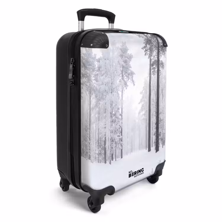 Suitcase - Forest - Snow - Path - Winter - Silence — 2